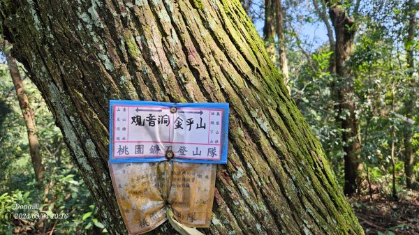 桃園復興金牌縱走O型(金平山.金平山南峰.牌子山)2446640