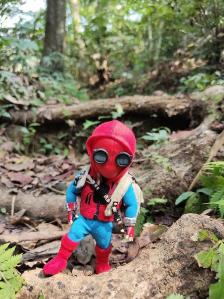 2024.03.17 竹東三山連走2900087