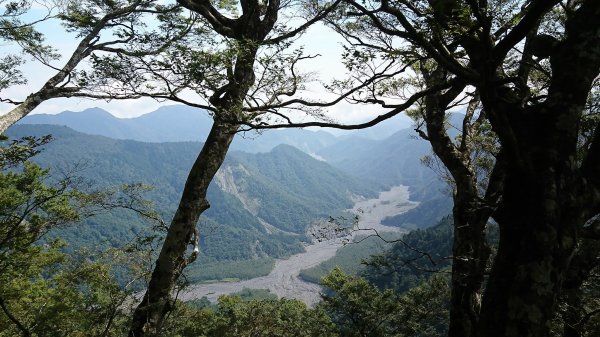 山毛櫸國家森林步道封面