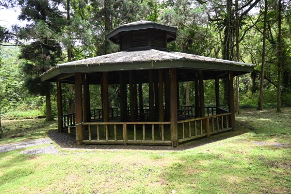 2025_0712 福山植物園2836320