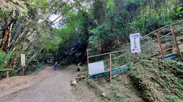 《台中》消暑冰淇淋｜三崁頂健康步道(北坑步道)202208131803448