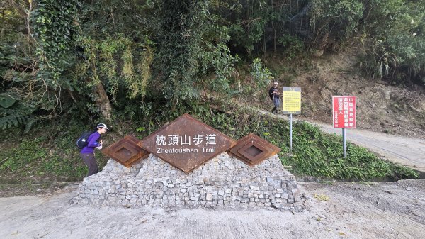 桃園復興枕頭山及薑母島偶遇穿山甲的悠閒O型走2984231