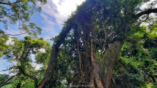 《新竹》青青石階｜娥眉藤坪步道及萬佛庵步道202509132883893
