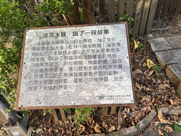 天母古道 + 紗帽山2913876