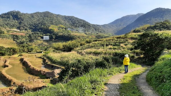 嵩山百年梯田、青山瀑布1293946