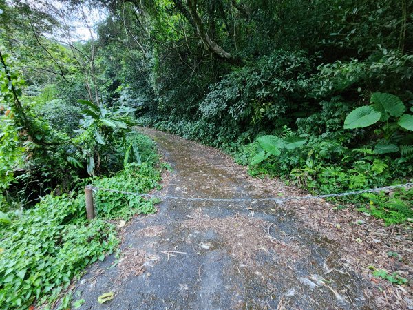 火燒寮山熊空山竹坑山加九嶺O型2966270