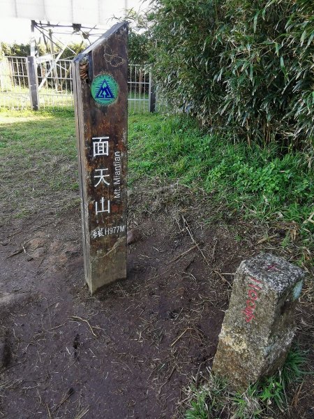 面天山、向天山步道→七星山主、東峰→大溝溪溪畔步道→碧湖公園步道→坪頂古圳親水步道→台北植物園步道1667535