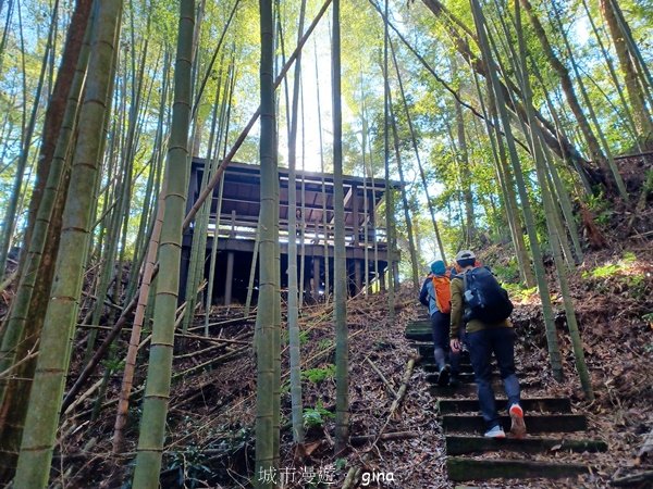 【雲林古坑】舒適宜人。 石壁山連走好望角嘉南雲峰2755260