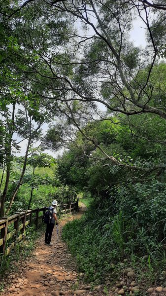 《台中》颱風前夕｜大肚環保公園登山步道(北段)202409292606732