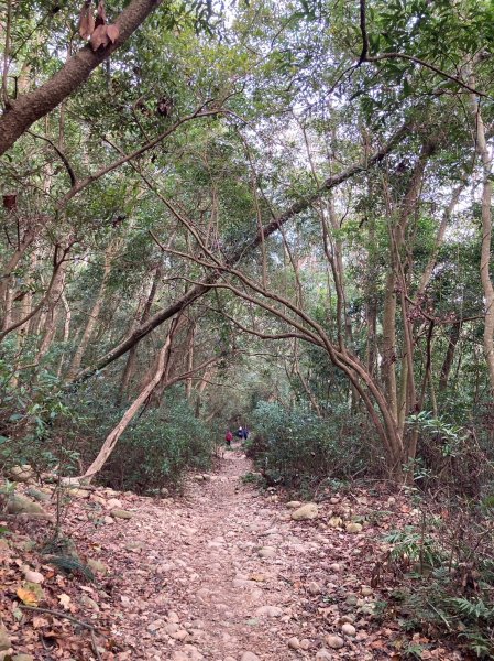 火炎山登山步道2386040