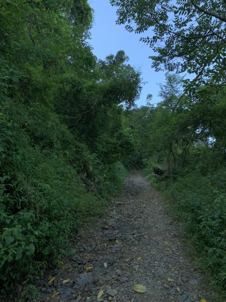 20250809高雄尾寮山(第21刷)2857298