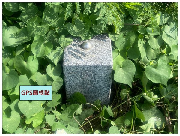 火炎山 相思花開 (季節限定) 三義3052257