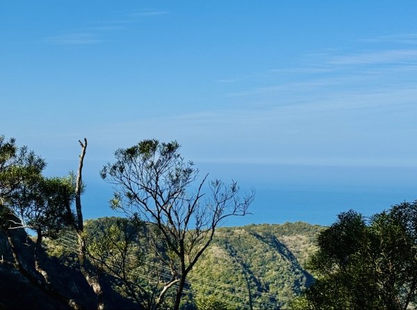 楓港紫竹林龍峰寺起登 里龍山(小百岳#80)來回2964824
