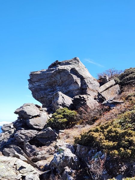 奇萊北壁下屏風出石門山東稜(非傳統路徑)2243459