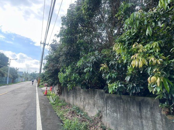 龍目井步道2805249