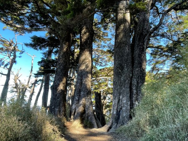 一日南橫二星人品爆發2995795