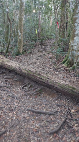 2020.03.08塔曼山872655