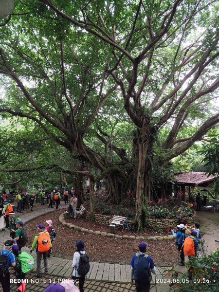 走訪新北市中和區及土城區的名勝古蹟：圓通禪寺、牛埔頭山、新加坡山2518372