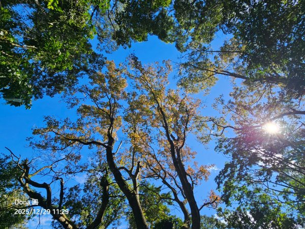 20251229石龜坑山上白石山下白石埤O走+阿姆坪2976684