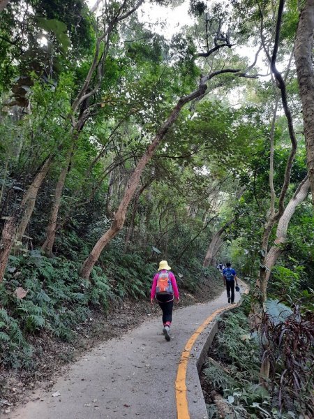 《彰化》田中森林登山步道O型202011221179690