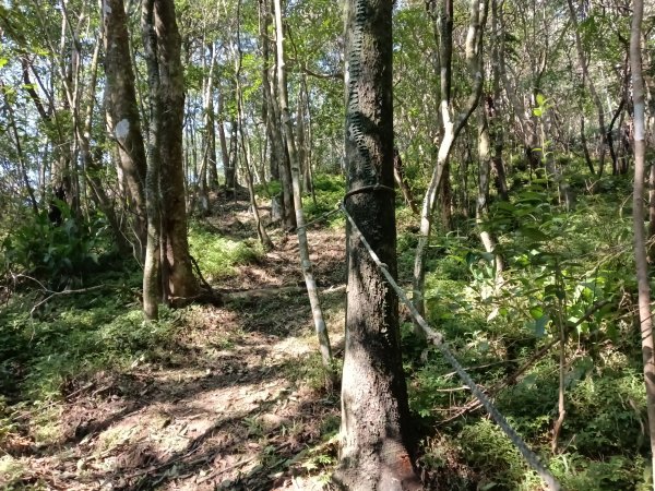 坪林區楣子寮尖+土地公遺址+火燒寮古道+枋山坑古道+枋山坑崙O型2985603