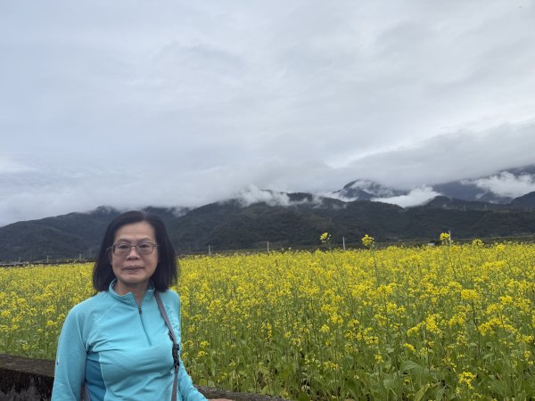 富里油菜花2704805