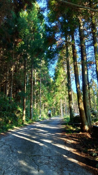 【比大鳥縱走】比林山、大窩山、鳥嘴山1477176