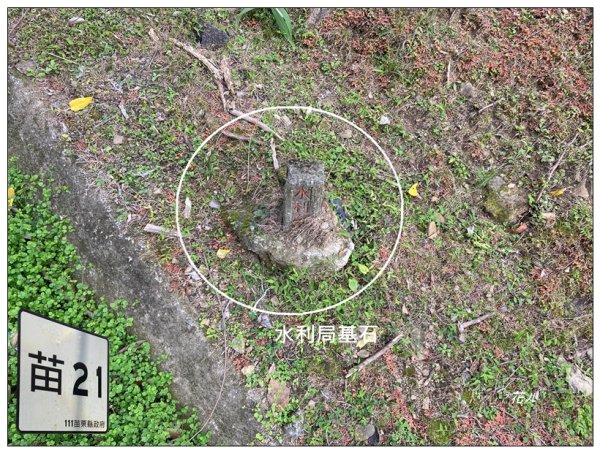 烏蛇山O型路線 (南庄)2726371