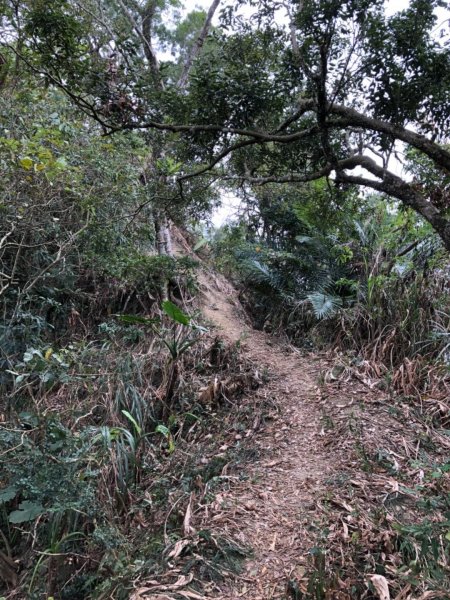 烏山步道北段入口雲山寺走刣牛湖山往返508044