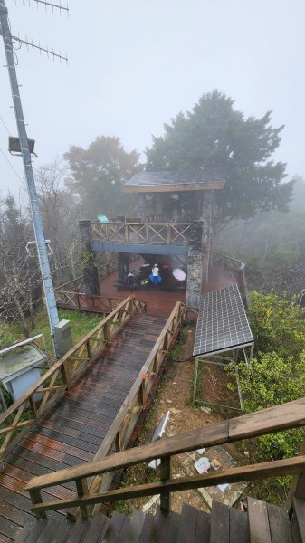 111/12/18藤枝森林園區東藤枝山、藤枝山1979558