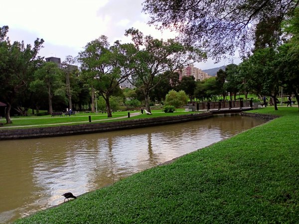 大港墘公園、大湖公園 (防災公園) - “非常愛尋寶”【走路趣尋寶，全臺齊步走】1883898