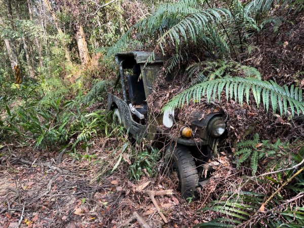 埔里能高瀑布-慶安步道-福興山1122峰（建議逆時針O繞）3004489