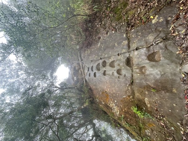 皇帝殿202603293035837