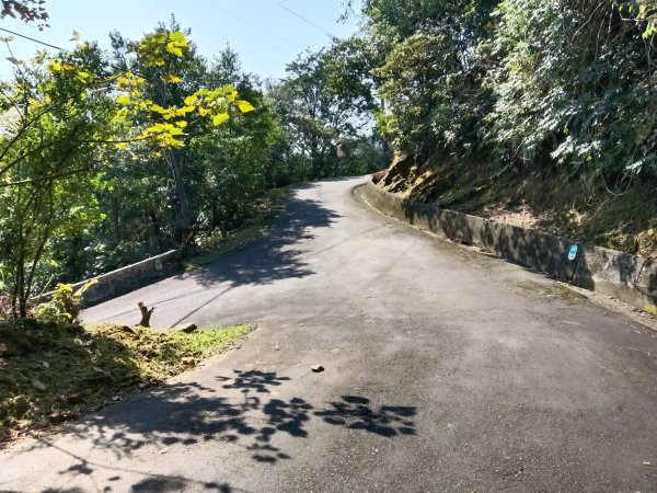 坪林區楣子寮尖+土地公遺址+火燒寮古道+枋山坑古道+枋山坑崙O型2985688