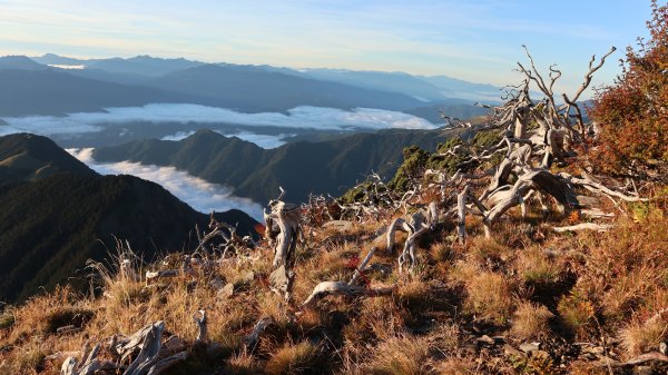 雪山主東峰登山健行趣(百岳02號＆74號)1882726