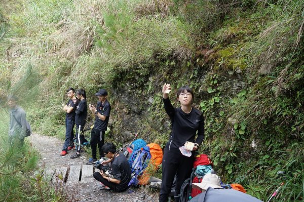 原來雲海可以這麼美 奇萊南華之旅643795