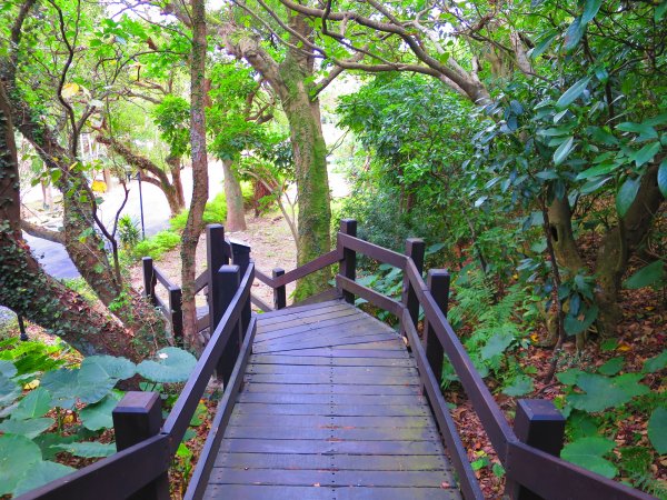 登小觀音山生態登山步道而小臺北863513