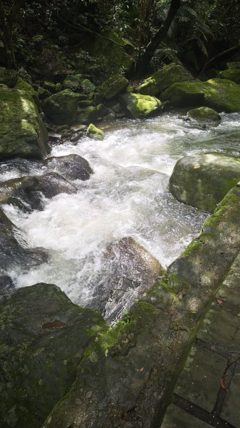 2025-0512內湖到中社2784818