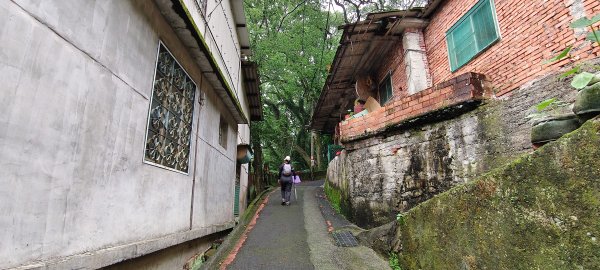 2025/05/25_茶園坪山2796576