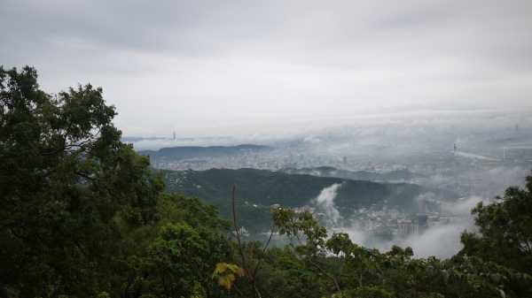 親山小旅行之拓印趣-中正山26567