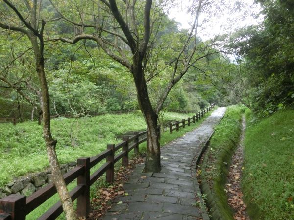 豹山溪步道．獅山．象山．和興炭坑198994