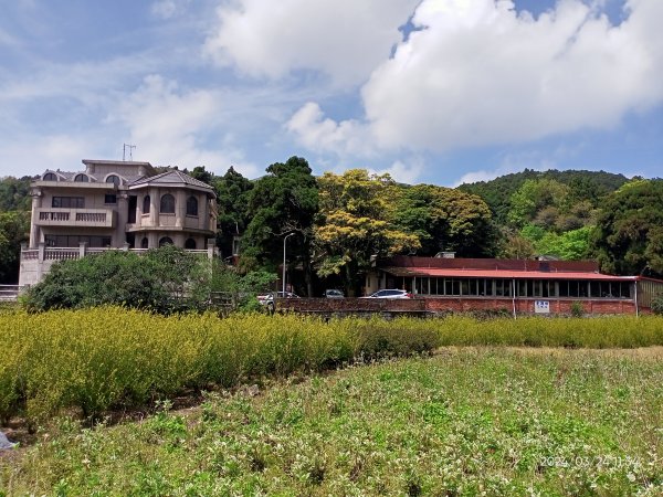 【發現陽明山】頂北投→陽峰古道→陽明山花鐘→陽明書屋→紫明溪步道→竹子湖海芋季2463825