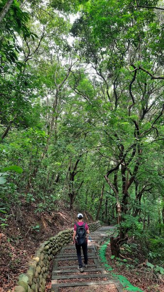 《彰化》鷹鳴蝶舞｜八卦山大嶺巷步道群202306042171652