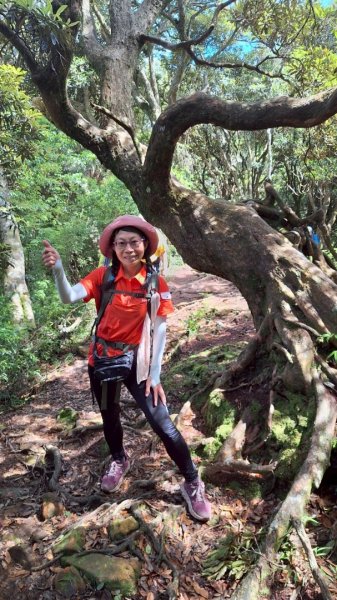 加里山P縱202506222818646