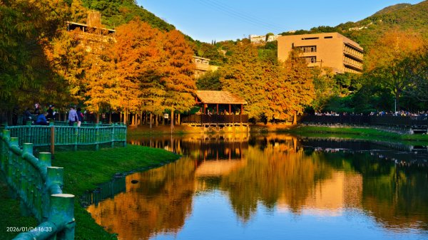 #花卉試驗中心 #永公路500巷 #平菁街42巷 #原住民公園 #士林官邸 1/42976586