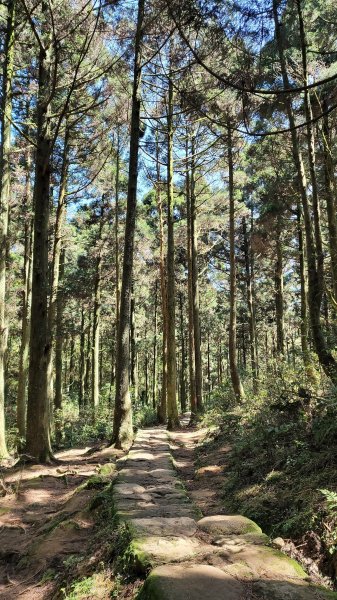 風櫃口頂山石梯嶺擎天崗2056596