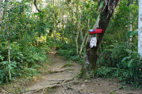 桃園 大溪 新溪洲山、溪洲山、林嵩壽山、內湳溝山、頭寮山3006209