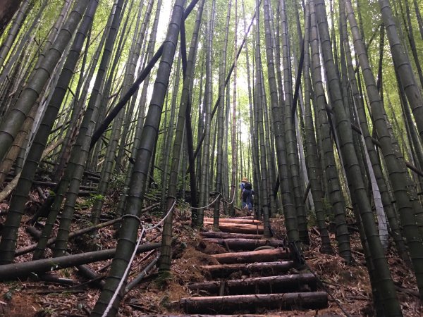 長壽山(1860)避暑輕鬆走一日行1079041