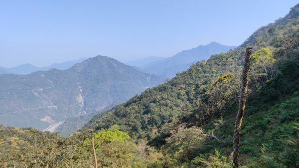 田良井山六連峰(屏東三地門) 探勘初體驗2025年3月9日2731533