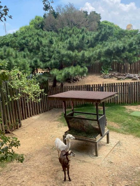 🌈8/24（日）來去坐火車爬山~ 新竹十八尖山+動物園+崎頂子母隧道✨FB：熊熊趴爬走🌈2868888